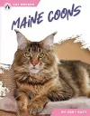 Maine Coons cover