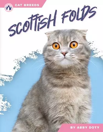 Scottish Folds cover