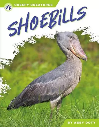 Shoebills cover