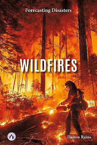 Wildfires cover