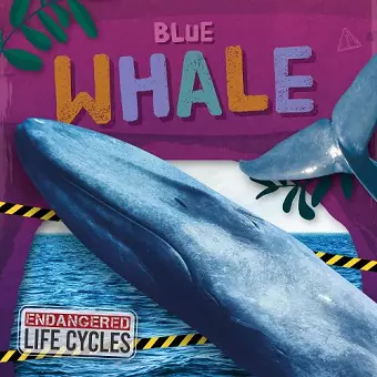 Blue Whale cover