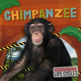 Chimpanzee cover