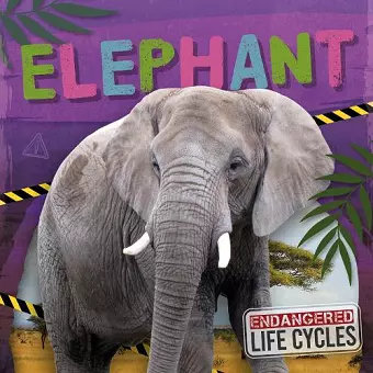 Elephant cover
