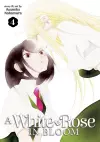 A White Rose in Bloom Vol. 4 cover