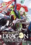 Reincarnated as a Dragon Hatchling (Light Novel) Vol. 11 cover