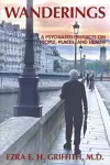 Wanderings cover
