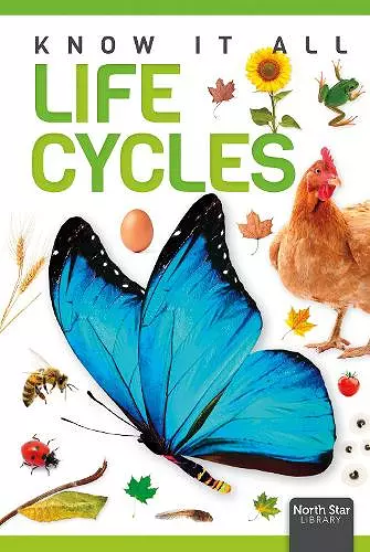 Life Cycles cover