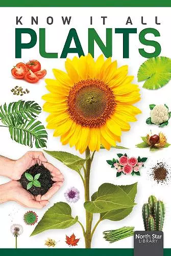 Plants cover