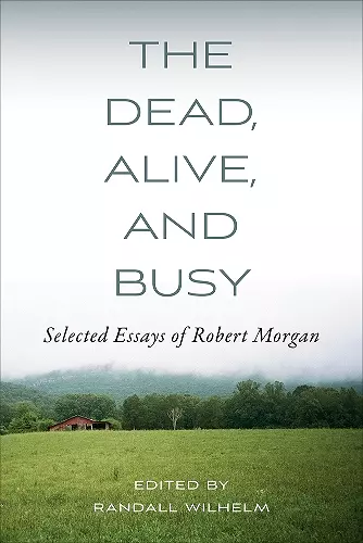 The Dead, Alive, and Busy cover
