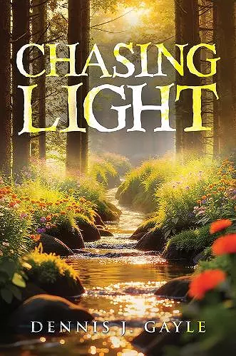Chasing Light cover