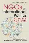 NGOs in International Politics cover