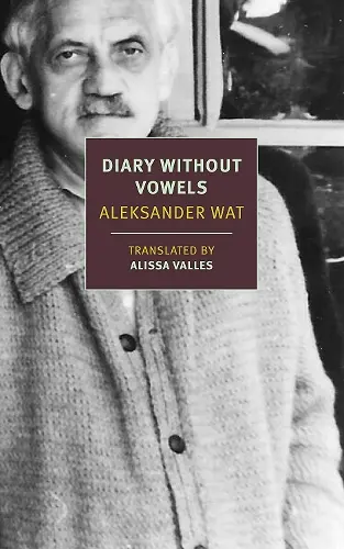 Diary Without Vowels cover