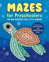 Mazes for Preschoolers cover