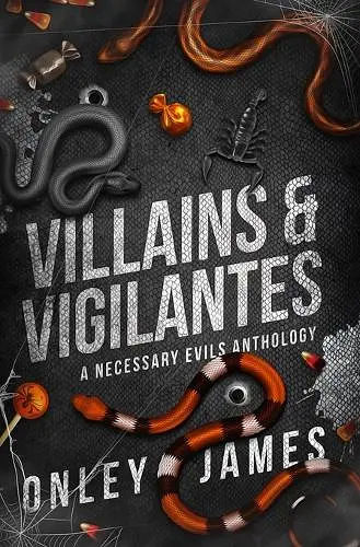 Villains & Vigilantes cover