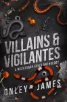 Villains & Vigilantes cover