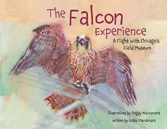 The Falcon Experience cover