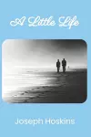 A Little Life cover