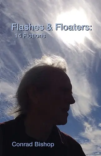 Flashes & Floaters cover