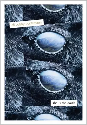 She Is the Earth cover