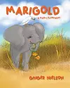 Marigold A Baby Elephant cover