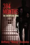 384 Months cover