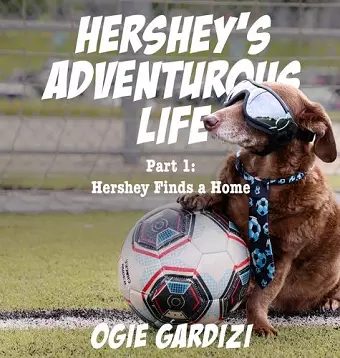 Hershey's Adventurous Life cover