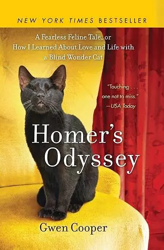 Homer's Odyssey cover