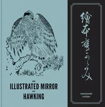 An Illustrated Mirror of Hawking cover