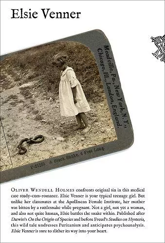 Elsie Venner cover