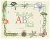 The Big and Little ABC cover