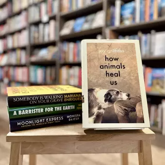 Nature & Travel – Christmas Guide 2025