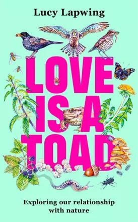 Love Is A Toad cover