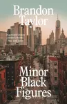 Minor Black Figures cover