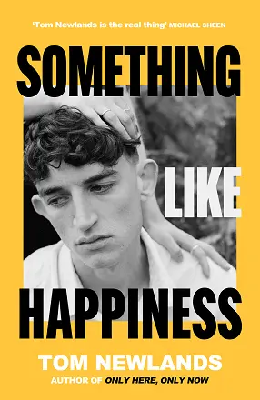 Something Like Happiness cover