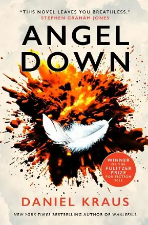 Angel Down cover