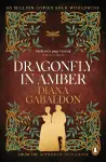 Dragonfly In Amber cover