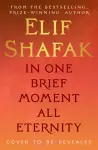 In One Brief Moment All Eternity cover