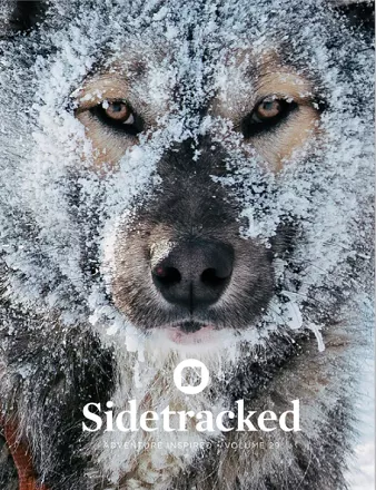 Sidetracked - Volume 29 cover