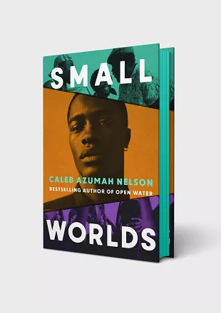 Small Worlds cover