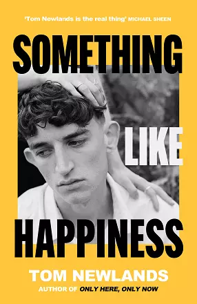 Something Like Happiness cover