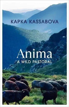 Anima cover